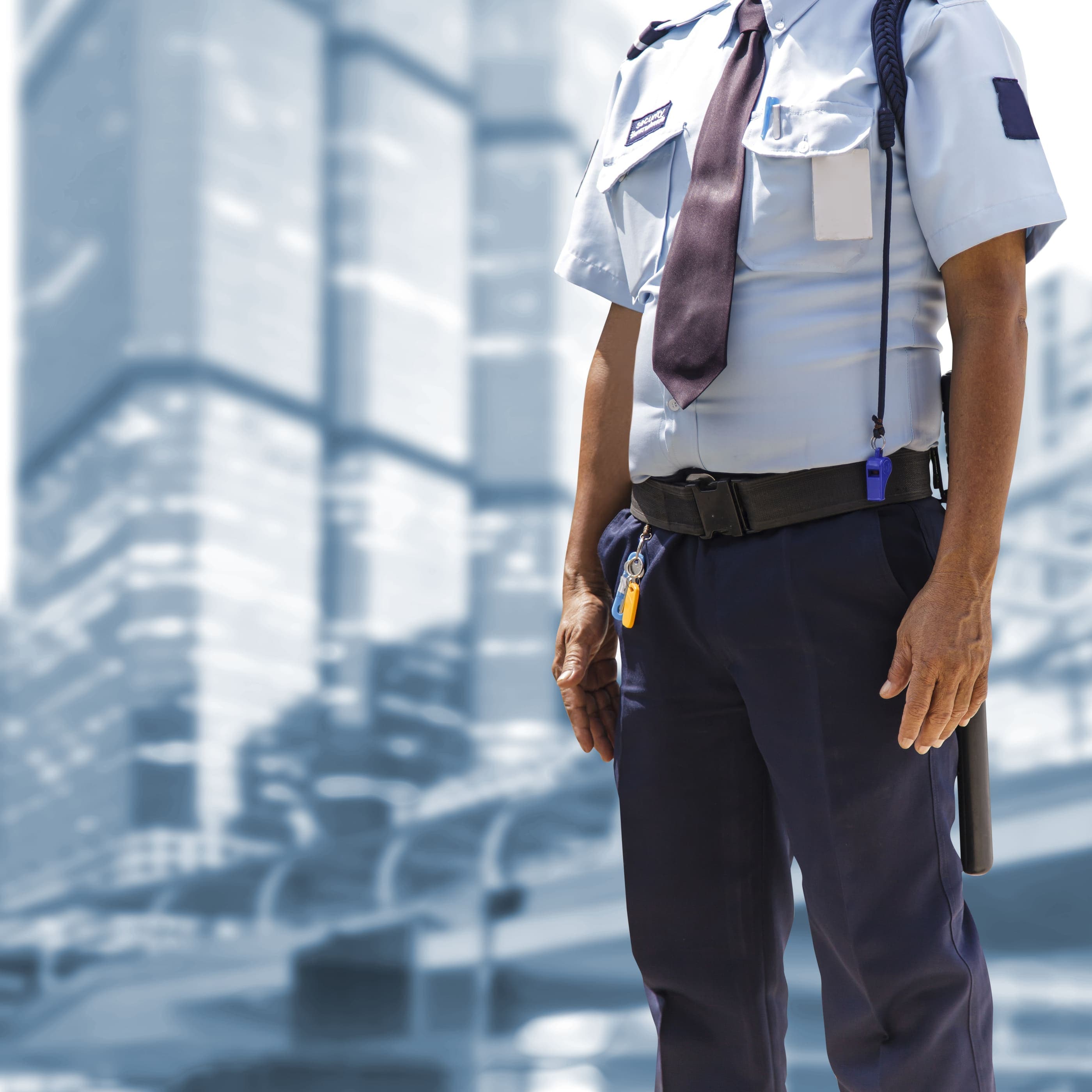 Uni Mercatorum Corso Alta Formazione Giurisprudenza Per La Polizia Penitenziaria Fondamenti Del Diritto E Del Processo Civile