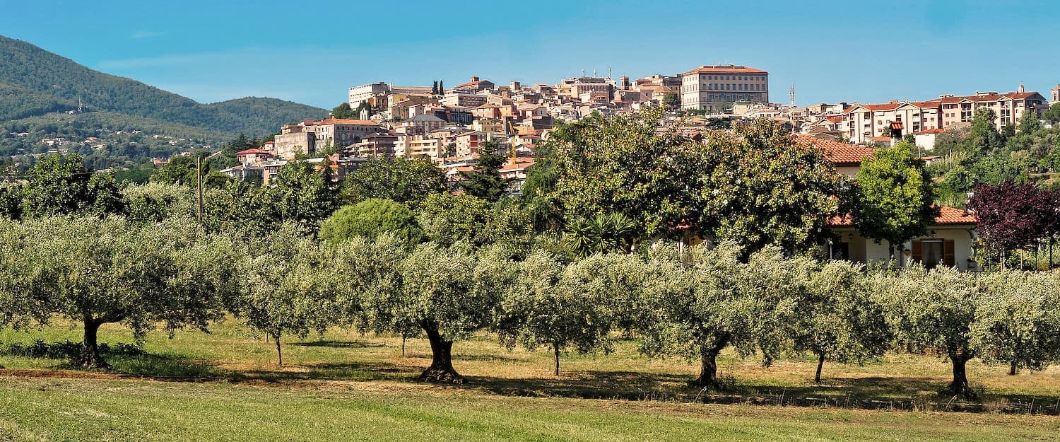 Velletri Multiversity