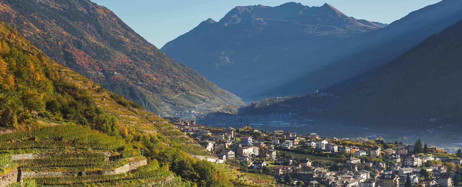 Valtellina Multiversity