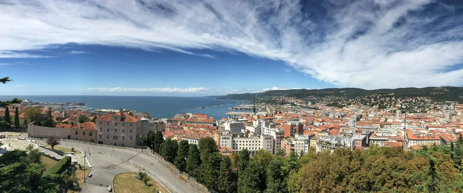 Trieste Multiversity